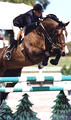 by Landadel was another top successful jumper, ridden by Amy Lefferdink.