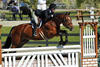 Lexus , is very successful in California with Gabbi Langston in tack. Under supervision of trainer Nicole Kim they earned numerous champion titles.