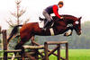 Paparazzo during his stallion performance test at the National Stud Neustadt / Dosse. He finished the test with high scores, what made him a class I stallion.