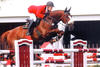 Farlap at the international 3* CSI Lummen / Belgium, qualified for th 5* CSI with Pick Hannoever on board.
