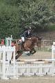 Charles competing during the first week of showing in Portugal this summer.