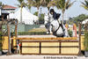 Sterling She noted, \"My trainer (Rolf) imported the horse from Germany, and I have had him for three years.\" She continued, \"I have had two kids in the middle of that, so I have not been riding consistently.\" In fact, this was Kellogg\'s first time showing the horse in a year.
FTI-WEF press release March 5th 2010