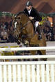 Orlando by Heartbreaker - Darco started his international career with Dirk Demeersman in tack. At the CHIO Aachen they won the \"Youngster Tour\" from where he could sold to \"Double H Farm\" / America.