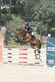 Charles equipped with the ingredient for the high perf-ormance classes, inherited the skills from his family line, which is one of the most successful dam lines in Europe..