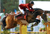jumped successful at international Grand Prix level with Julien Epaillard in tack. (To watch Quaprice, please visit You Tube: QUAPRICE - GRAND PRIX LA BAULE 2008)