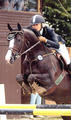 For Fun , by For pleasure comes from the same family line and competed very successful in the open classes with Ilona..