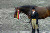 the \"Triple Crown\" winner, at Harrisburg, Washington and New York; they won all the \"Amateur Owner\" classes and received the \"Great Grand Hunter Champion\", with Lori Stevens aboard..