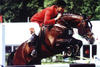 Voltaire was an international successful World Class jumper himself with Emil Hendrix and Jos Lansink on board, winning the World Cup qualifier in Berlin.