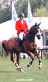 Farlap concentrating on his way into the jump off!