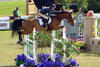 at the Winter Equestrian Festival (WEF) with Anne Kursinski successful in the jump off.