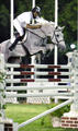 also very successful in the UAE in winning the \"Six Bar\" class over 1.90 meter with lots of scope and a super technique.