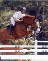 Laury , always jumps in good form, with lots of scope and inherited the technique from his dam sire, the great stallion For Pleasure.