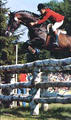 Ramiro Z jumped successful the international Grand Prix classes with Fritz Ligges aboard. He produced Olympic horses as Ratina Z, Royal Kaliber for the jumper ring and Lectron for the dressage arena. Those horses stand for the all the others.