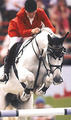 Carthago Z , did 2 Olympic Games during his career with the World Champion 2006, Jos Lansink in tack. In addition they won multiple international Grand Prix classes.
