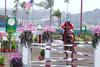 showing with great success at the Olympic selection trails in California, ridden by 5 times Olympian Anne Kursinski. 