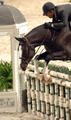 got from John French to Peter Pletscher, as John, also one of the most successful riders in the hunter ring in North America!