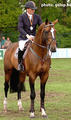 Orlando winning the \"Championships\" with international Grand Prix rider and Olympian Dirk Demeersman in tack.