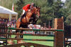 Fetiche Du Pas , by Le Tot Du Semilly - Alme`- Night And Day xx, won the French Young Jumper Championships at the age of 5 - and 6. During the following years he showed successful in the international Grand Prix classes at the 1.60 level.
