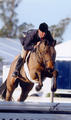 Sadorable , by the \"world famous\" Grand Prix stallion Stakkato / Eva Bitter, has an outrageous career in the hunter ring; here shown with Jay in tack at his first WEF circuit.