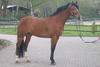 Okeechobee fully matured now knows how to jump around the bigger track.