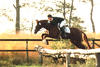 For Pleasure during the stallions performance test (HLP) finished with record points in jumping.