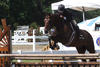 Coconut Creek again with Bruce in tack on their way into the ribbons.