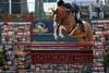 a very well bred German youngster with all the ingredients for the hunter ring!