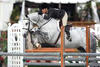 Sterling with owner Lee Kellogg on board, together they won multiple \"Champion\" title.