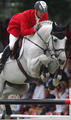 Carthago Z is one of the most successful Grand Prix jumper stallions in the world. His progeny is all over the world successful in international Grand Prix classes.