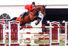 , by Carthago Z, winning the international speed class at the 3* CSI Lummen / Belgium, with Todd Minikus aboard.
