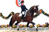 got sold through the auction at Vechta. We send him to Canada, where he gained FEI level success with Lynne Joly.