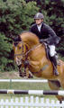 Okeechobee showed from his first start in the young jumper classes great talent for the jumper / hunter ring.