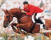 Jus de Pomme a son of Primo de Bryere, the fourth generation sire in Apalachicola\'s pedigree. Jus de Pomme was the double gold medal winner at the Olympic Games in Atlanta \'96 with ridden by Ulli Kirchoff / Germany.