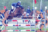 Divine de Fribois by - Clinton, out of Palma de Fribois, her shown at the Lummen Spring circuit 2009, jumped flawless three days in a row in the 6-year old jumper classes and is now ready for the CSI level.