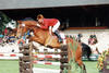 at their first international appearance on European show grounds in Donaueschingen / Germany, with later Olympian Todd Minikus aboard.
