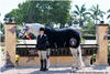 Sterling Kellogg and her partner, Sterling, dominated their division this weekend, winning the first two classes yesterday and winning the first class of the day today. She was very proud of her eleven-year-old Oldenburg gelding.
FTI-WEF press release March 5th 2010
