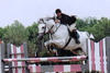 finished in the top four in the \"IJFuturity\" finals at the Devon Horse Show; \"Where Champions Meet\"! 