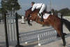 Lexus here in training with international successful Grand Prix rider Todd Minikus, who gave him very successful mileage in the hunter ring.