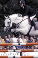 , Coco\'s sire is already a legendary stallion. His international performance career and his progeny are outstanding.