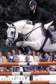 Clinton , Coco\'s sire is already a legendary stallion. His international performance career and his progeny are outstanding.