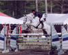 after she already won the \"six bar\" classes over 1.90 meter, she continued being very successful in the Grand Prix classes with David Raposa in tack.