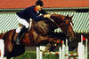 Le Tot de Semilly , by Grand Veneur - Juriste, is one of the most successful breeding stallions and Grand Prix jumper in the world.