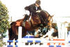 Acorado , at the German Young Jumper Championships ridden by Thomas Mohr. Later Acorado won with Torben Koehlbandt on board several Grand Prix classes.