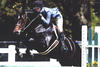 Coltrane with Missy Froley successful in the \"Large Junior Hunter\" classes.