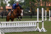  here in training with Jay in tack on his way to the champion title in the hunter ring!