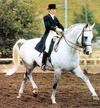 , Rigaudon\'s sire, here with Olympic veteran and World Champion Christine Stueckelberger / CH successful in a FEI class. 