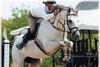 gained national recognition in the Grand Prix ring. The picture shows him with owner Nancy Maloney in tack.