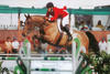 always jumped successful into the ribbons, in perfect style with Olympian Anne Kursinski in tack.