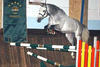 here at the age of three, always jumping without hesitation, careful and scopey.