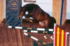 Coconut Creek at the age of three showing good technique, scope and confidence.